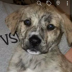 Meet your Posher, Ken